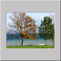 Herbststurm-im-Arbon 094.jpg